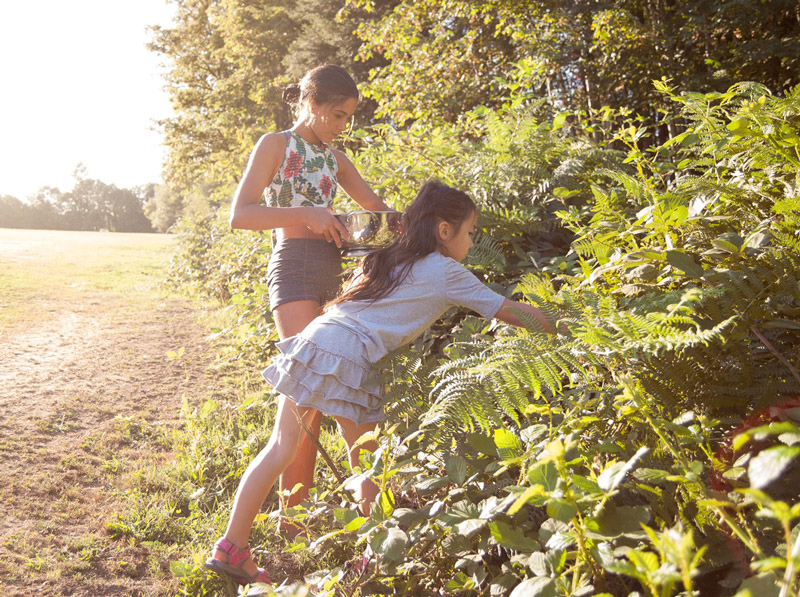 Girls picking berries